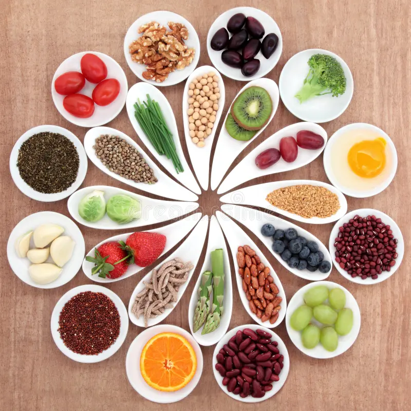 Estructura Nutricional